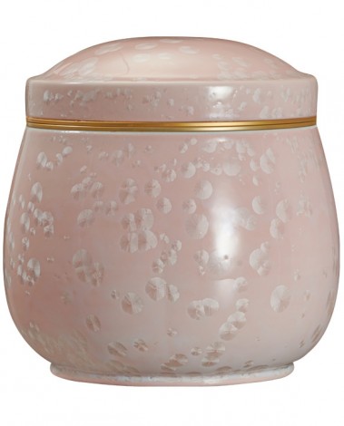 고결6호 핑크호롱-G19728